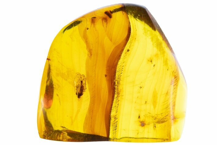Fossil Amber With Insect Inclusion ( g) - Mexico #104249